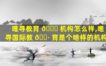 唯寻教育 🐝 机构怎么样,唯寻国际教 🕷 育是个啥样的机构